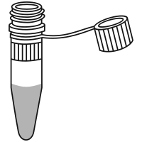 6/10 filled eppendorf tube  with conical bottom and screw cap open - Clipart-